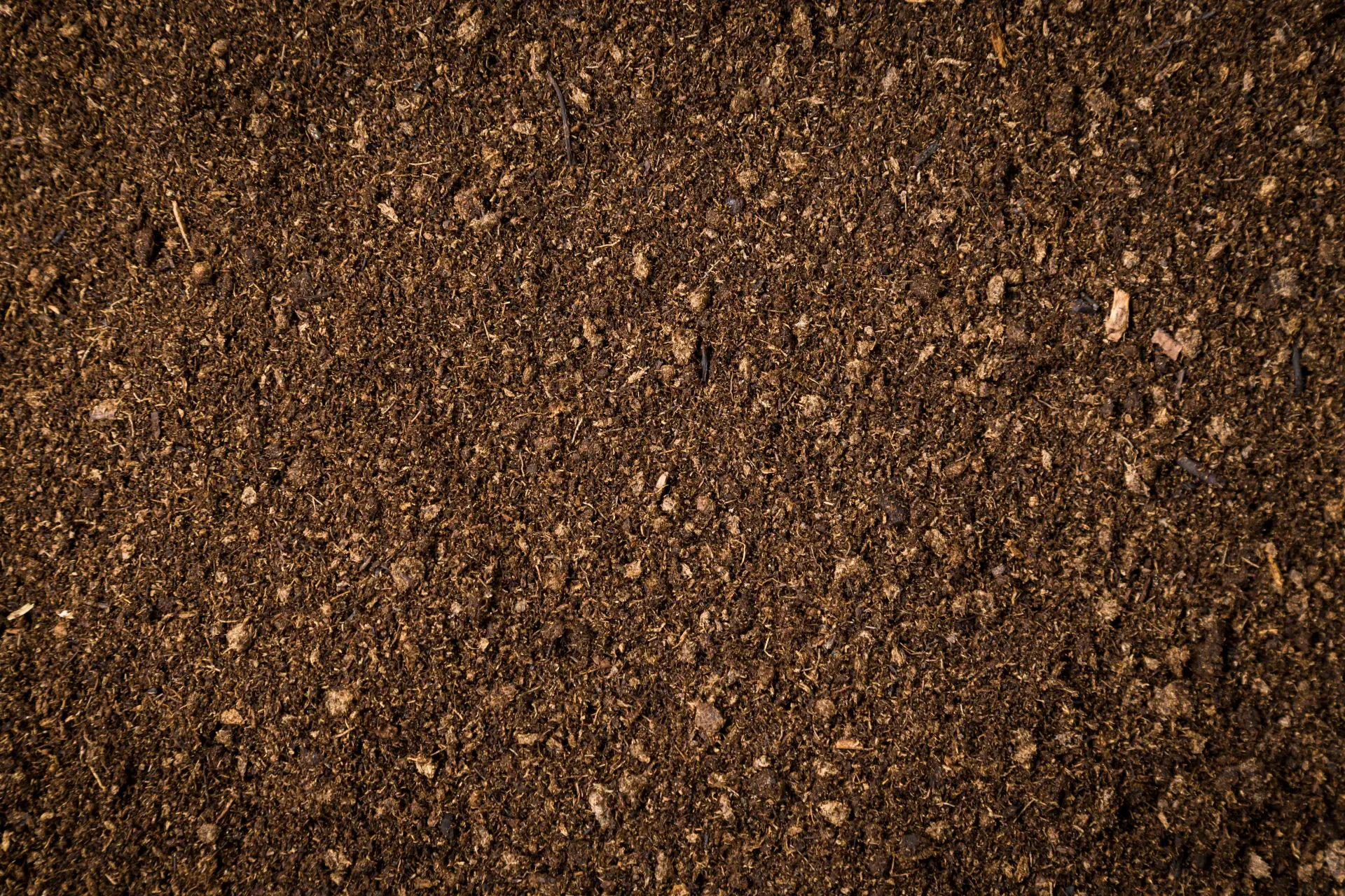 Green Waste Disposal | Newcastle, Hartlepool, Sunderland, North East