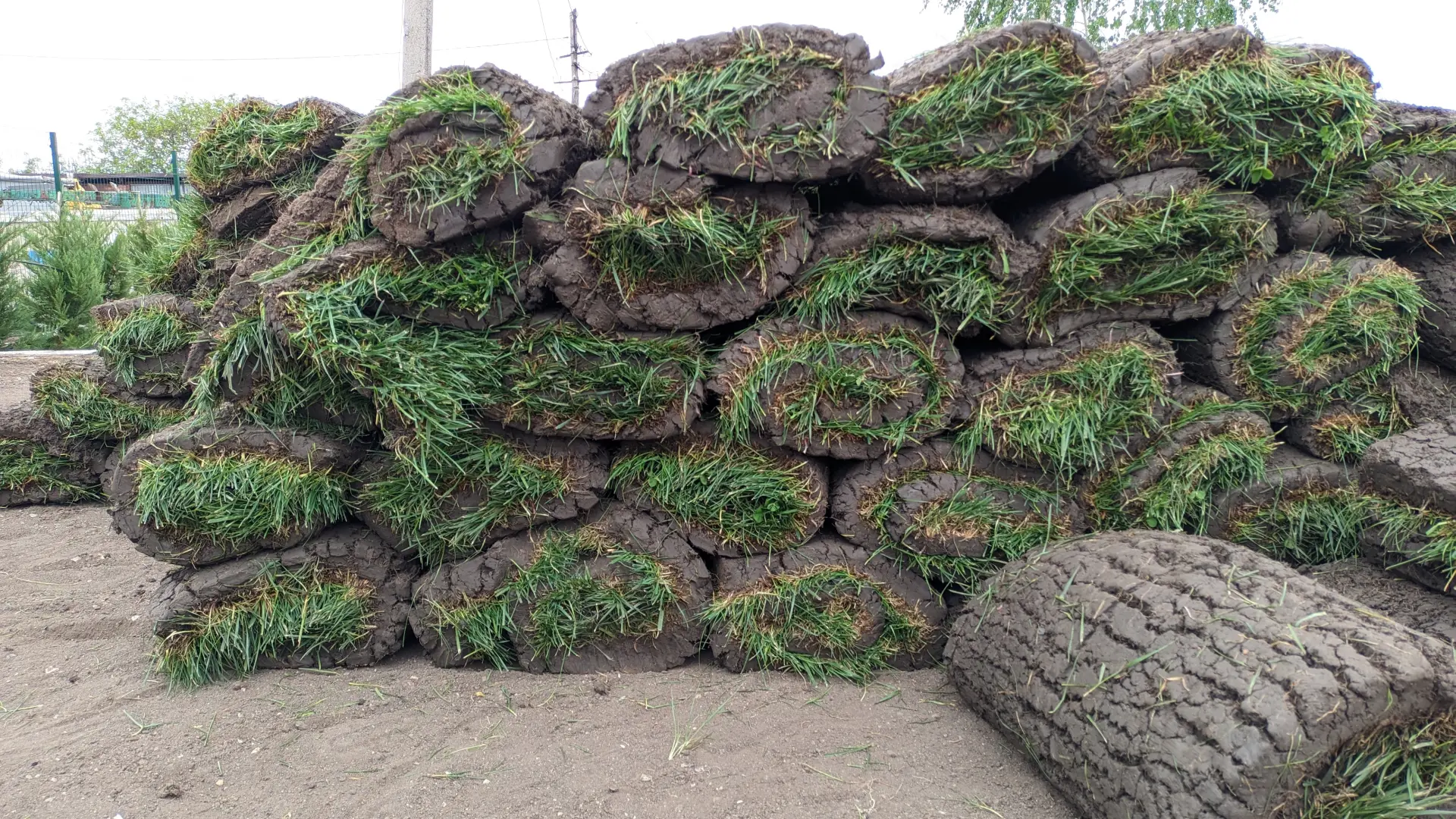 Green Waste Muck Away | Newcastle, Hartlepool, Sunderland, North East